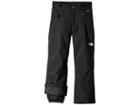 The North Face Kids Freedom Insulated Pants (little Kids/big Kids) (tnf Black) Boy's Outerwear