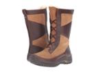 Ugg Mixon (chestnut) Women's Boots