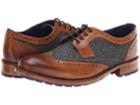 Ted Baker Cassiuss 3 (tan/multi) Men's Lace Up Wing Tip Shoes