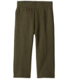 Carhartt Kids Cib Fleece Pants (infant) (dark Green) Boy's Casual Pants