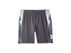 Under Armour Kids Space The Floor Shorts (toddler) (graphite) Boy's Shorts