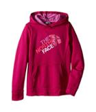The North Face Kids Surgent Pullover Hoodie (little Kids/big Kids) (roxbury Pink (prior Season)) Girl's Sweatshirt