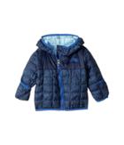 The North Face Kids Thermoball Hoodie (infant) (cosmic Blue Chain Print (prior Season)) Kid's Coat