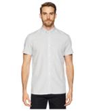 Calvin Klein Dot Dobby Button Down Shirt (plush Pink) Men's Clothing