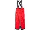 Spyder Kids Propulsion Pants (big Kids) (red/black) Boy's Outerwear