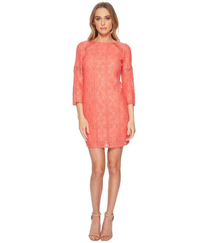 Adrianna Papell Marni Lace 3/4 Sleeve Shift (cruise Coral) Women's Dress