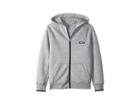 Polo Ralph Lauren Kids Double Knit Graphic Hoodie (big Kids) (andover Heather) Boy's Sweatshirt