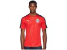 Puma Chivas Stadium Jersey (puma Red) Men's T Shirt