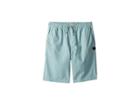 Billabong Kids Larry Layback Shorts (toddler/little Kids) (dark Ozone) Boy's Shorts