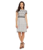 Adrianna Papell Twin Lace Fit And Flare Dress (ivory/black) Women's Dress