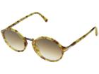 Persol 0po3208s (tortoise Yellow/clear Gradient Brown) Fashion Sunglasses