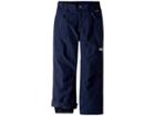 The North Face Kids Freedom Insulated Pants (little Kids/big Kids) (cosmic Blue) Boy's Outerwear