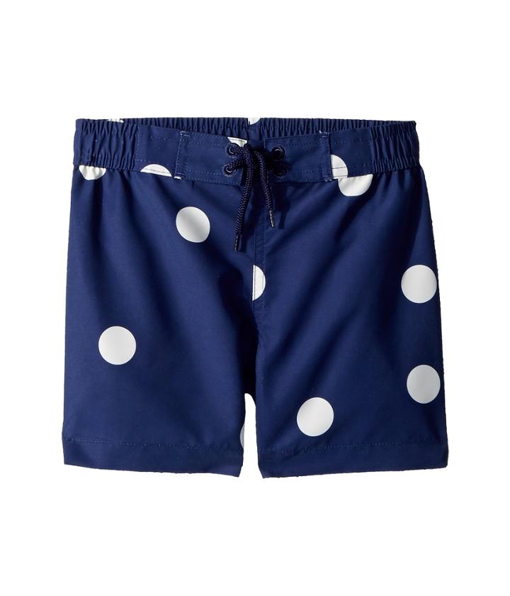 Mini Rodini Dot Swim Shorts (infant/toddler/little Kids/big Kids) (navy) Boy's Swimwear