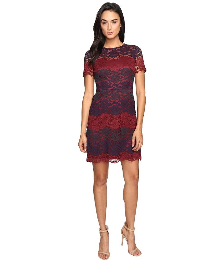 Maggy London Tri-color Lace Fit And Flare (wine/navy) Women's Dress
