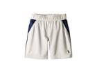 Polo Ralph Lauren Kids Color Blocked Performance Shorts (toddler) (grey Ash Heather) Boy's Shorts