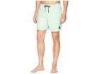 Quiksilver Everyday 17 Volley Shorts (green Ash) Men's Shorts