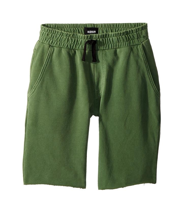 Hudson Kids Dune Shorts (big Kids) (evergaldes) Boy's Shorts
