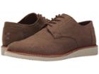 Toms Brogue (brown Chambray) Men's Lace Up Casual Shoes
