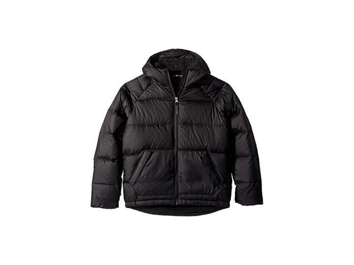 The North Face Kids Moondoggy 2.0 Down Hoodie (little Kids/big Kids) (tnf Black 2) Boy's Sweatshirt