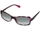 Diane Von Furstenberg Taylor (raspberry Leaves) Fashion Sunglasses