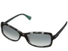 Diane Von Furstenberg Phoebe (black Teal Tortoise) Fashion Sunglasses