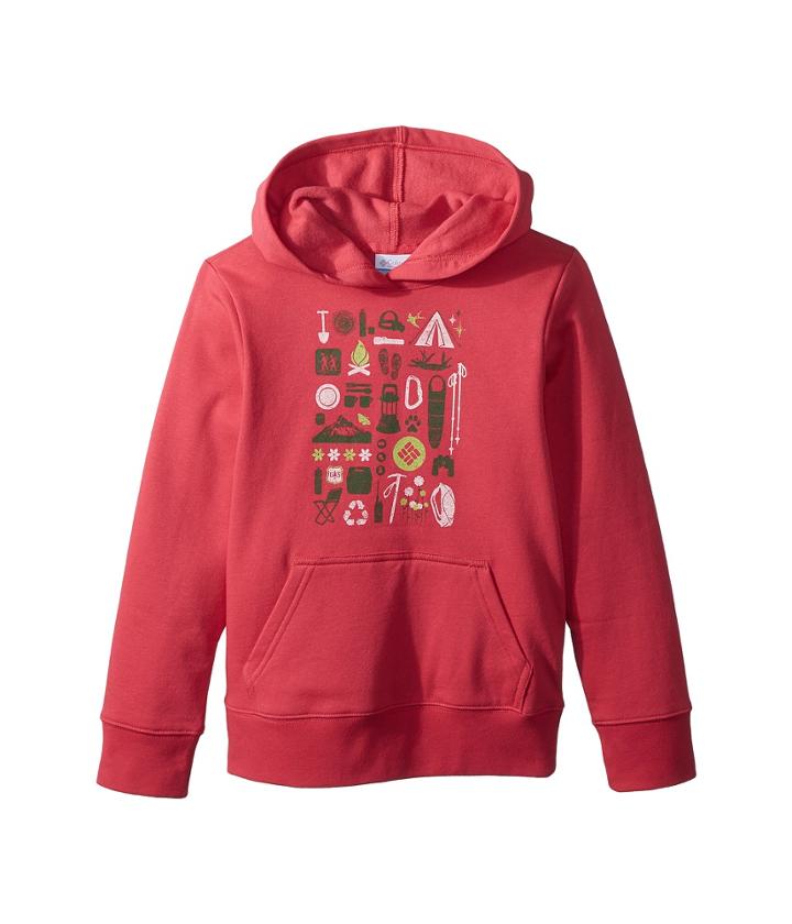 Columbia Kids Csc Hoodie (little Kids/big Kids) (punch Pink) Girl's Sweatshirt