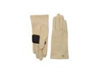 Echo Design Classic Gloves (echo Oatmeal) Extreme Cold Weather Gloves
