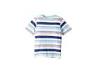 Peek Reid Shirt (toddler/little Kids/big Kids) (blue) Boy's Clothing