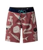 Vissla Kids Fathoms Washed Four-way Stretch Boardshorts 17 (big Kids) (plumeria) Boy's Swimwear