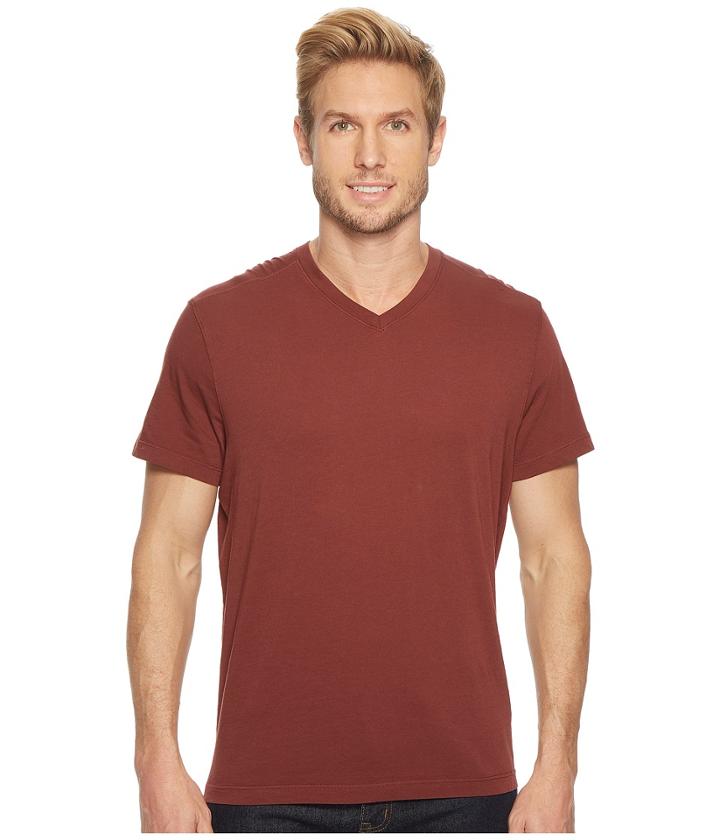 Agave Denim Agave Supima Vee Neck Short Sleeve Tee (andorra) Men's T Shirt