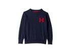 Tommy Hilfiger Kids Matt Logo Sweater (toddler/little Kids) (swim Navy) Boy's Sweater