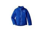 The North Face Kids Thermoball Full Zip (little Kids/big Kids) (dazzling Blue/collar Blue) Girl's Coat