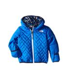 The North Face Kids Reversible Perrito Jacket (infant) (jake Blue (prior Season)) Kid's Coat