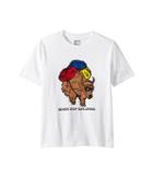 The North Face Kids Short Sleeve Graphic Tee (little Kids/big Kids) (tnf White/multicolor) Boy's Clothing