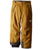 The North Face Kids Freedom Insulated Pants (little Kids/big Kids) (british Khaki (prior Season)) Boy's Outerwear
