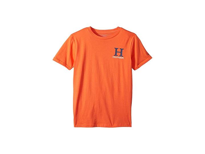 Tommy Hilfiger Kids Matt Tee (big Kids) (coral Sunset) Boy's T Shirt