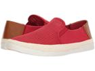 Steve Madden Surfari (red) Men's Shoes