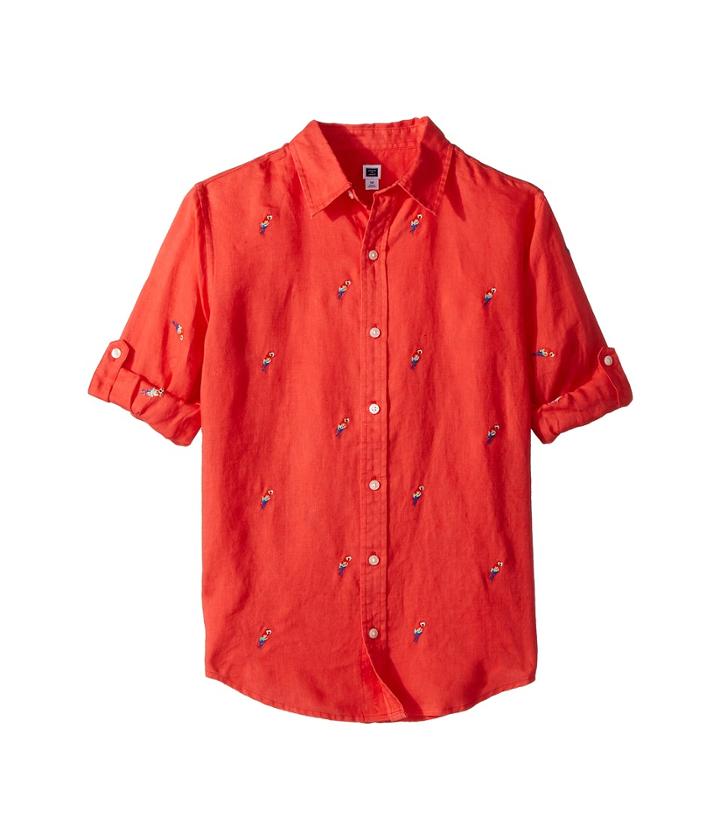 Janie And Jack Embroidered Roll Up Shirt (toddler/little Kids/big Kids) (multicolor) Boy's Long Sleeve Button Up