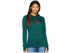 The North Face Fave 1/2 Dome Pullover 2.0 (botanical Garden Green Heather/asphalt Grey) Women's Sweatshirt