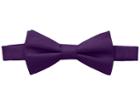 Tommy Hilfiger Core Solid Pre-tied Bow Tie (purple) Ties