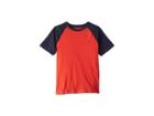 Tommy Hilfiger Kids Solid Crew Neck Raglan Tee Shirt (big Kids) (poppy Red) Boy's T Shirt