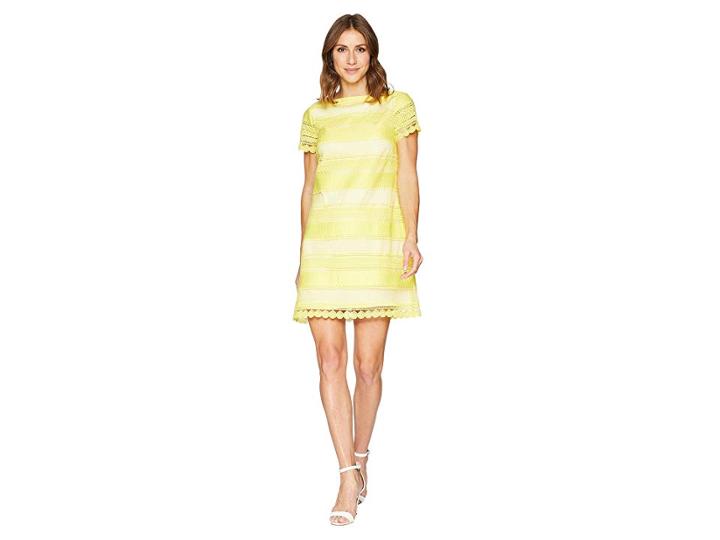 Tahari By Asl Short Sleeve Chemical Lace Sheath Dress (maize/white) Women's Dress