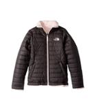 The North Face Kids Reversible Mossbud Swirl Jacket (little Kids/big Kids) (graphite Grey/purdy Pink (prior Season)) Girl's Coat