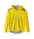 The North Face Kids Long Sleeve Reactor Hoodie (little Kids/big Kids) (canary Yellow (prior Season)) Boy's Sweatshirt