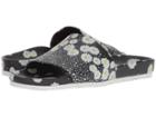 Kennel & Schmenger Love Daisy Slide (black/white Daisy) Women's Slide Shoes