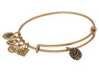 Alex And Ani Charity By Design Pinecone Bangle (rafaelian Gold) Bracelet