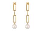 Michael Kors Pearl Link Linear Earrings (gold) Earring
