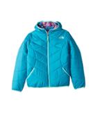 The North Face Kids Reversible Perrito Jacket (little Kids/big Kids) (algiers Blue (prior Season)) Girl's Coat