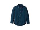 Polo Ralph Lauren Kids Plaid Cotton Poplin Shirt (little Kids/big Kids) (green/blue Multi) Boy's Clothing