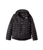 The North Face Kids Thermoball Hoodie (little Kids/big Kids) (tnf Black (prior Season)) Girl's Coat
